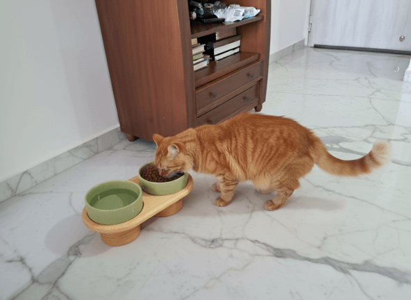 Imagen #1 de Sofía García