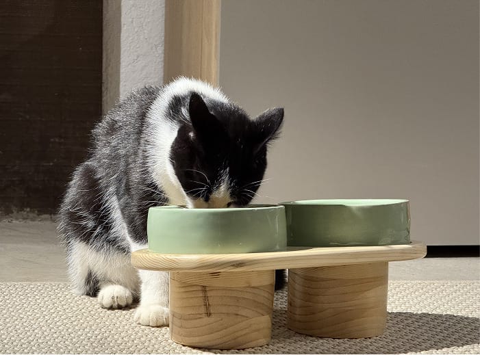 comedero-uso-gatuno-1