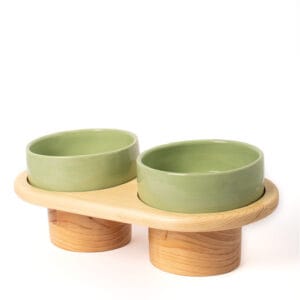 Comedero Elevado para Mascotas